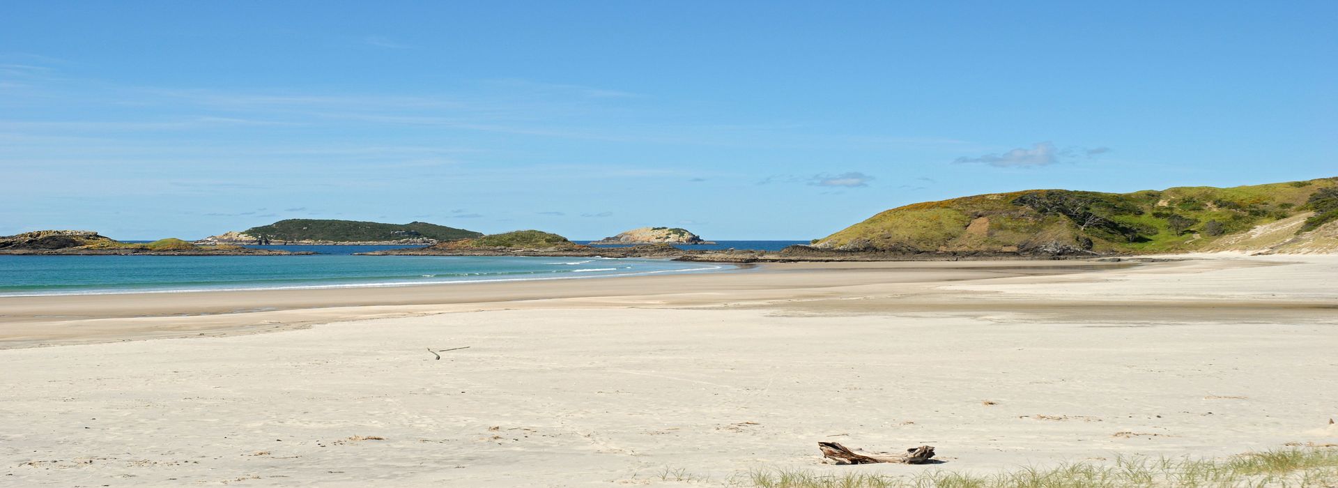 picture of beach and cocktail